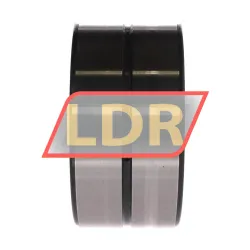 INA RNA6919-ZW-XL rulman resim 2