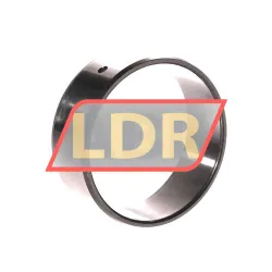 INA IR50X55X20-IS1-XL rulman resim 2