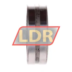 INA NA4909-RSR-XL rulman resim 2
