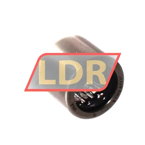 INA HK1012-2RS-FPM-DK-B-L178