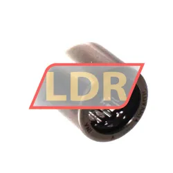 INA HK1012-2RS-FPM-DK-B-L178