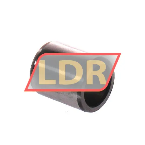 SKF IR10X14X16