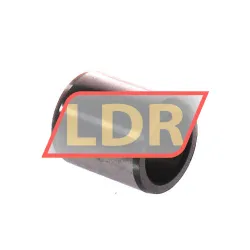 SKF IR10X14X16