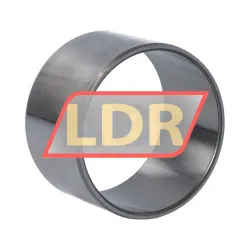 SKF IR55X60X35