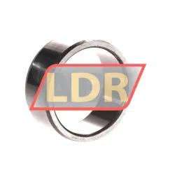 SKF IR50X60X25