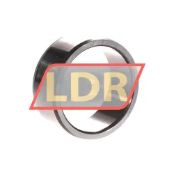 SKF IR50X60X25 rulman resim 2