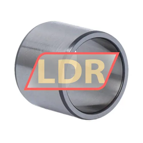 SKF IR20X24X20