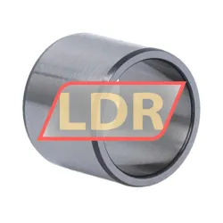 SKF IR20X24X20