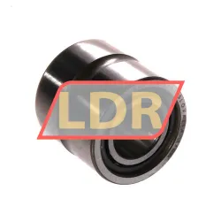 SKF NA6901