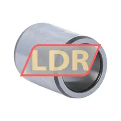 SKF IR12X16X20