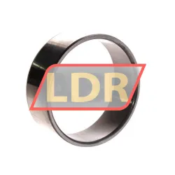 SKF IR65X72X25