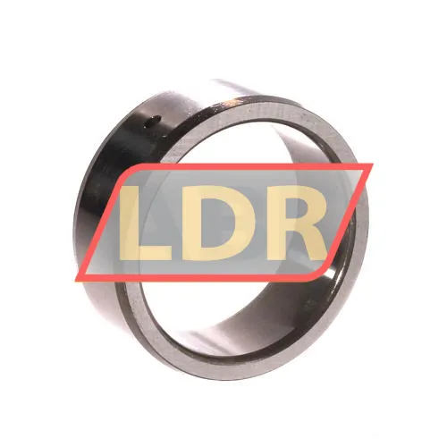 SKF IR45X55X20IS1