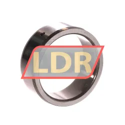 SKF IR45X55X20IS1