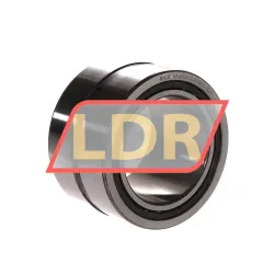 SKF NA6909