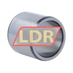 SKF IR32X40X36
