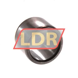 SKF IR17X22X16