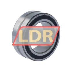 SKF NA4907-2RS