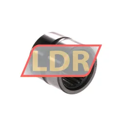 SKF RNA6901