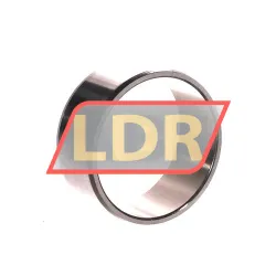 SKF IR42X47X20