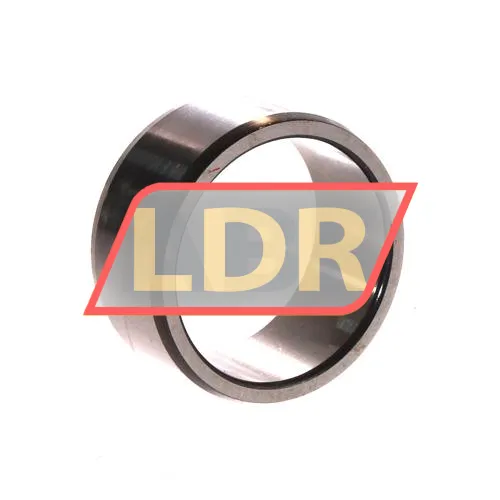 SKF IR40X48X22