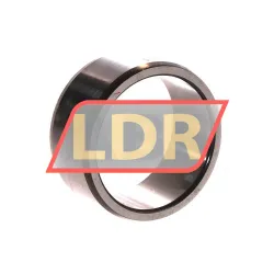 SKF IR40X48X22