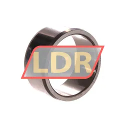 SKF IR40X48X22 rulman resim 2