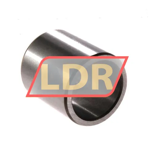 SKF IR22X28X30