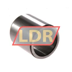 SKF IR22X28X30