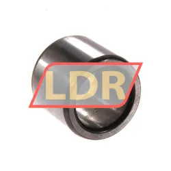 SKF IR17X24X20
