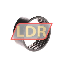 SKF HK6032