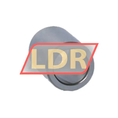 SKF IR7X10X16