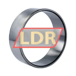 SKF IR110X120X40