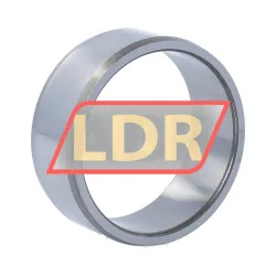 SKF IR50X58X22