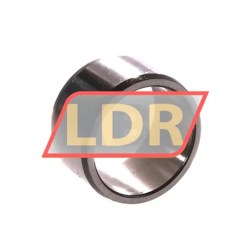 SKF IR25X30X17