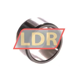 SKF IR25X30X17