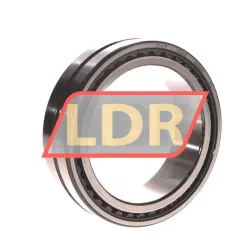SKF NA4919
