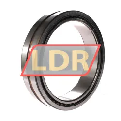 SKF NA4830