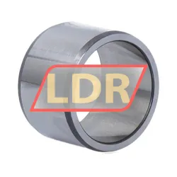 SKF IR25X30X20