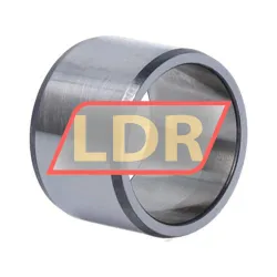 SKF IR25X30X20 rulman resim 2