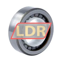 NTN NK30-5X50X16 rulman resim 2