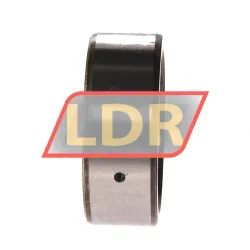 Neutral IR45X55X20 rulman resim 2