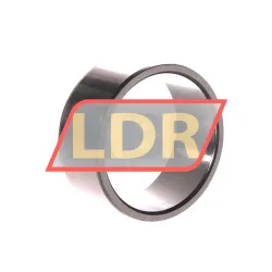 Neutral IR45X52X22 rulman resim 2