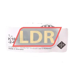 INA K18X22X10-A/-2-4 rulman resim 2