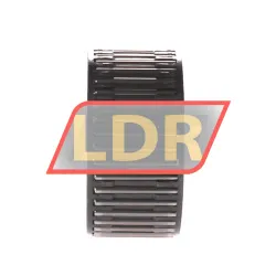 INA K55X60X30-B/-4-6 rulman resim 2