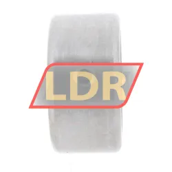 INA HK1812-AS1-B rulman resim 5