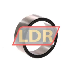 SKF LR25X30X12,5