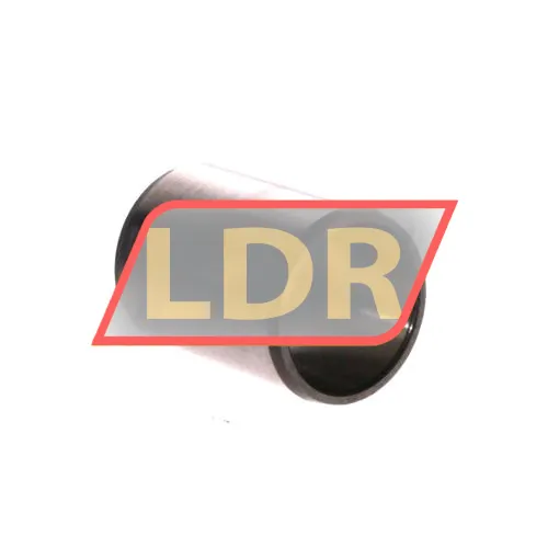 SKF IR25X30X38,5 ürün fotoğrafı 2