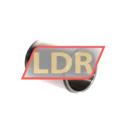 SKF IR25X30X38,5