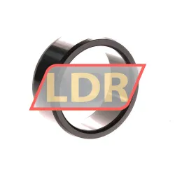 SKF IR45X55X22