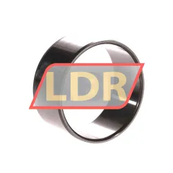 NTN 1R50X55X25